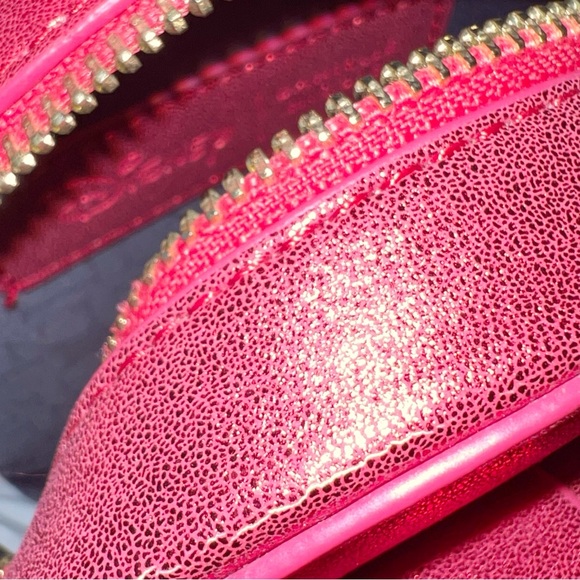Final Price Danielle Nicole Enchanted Rose Crossbody Bag - Picture 7 of 16